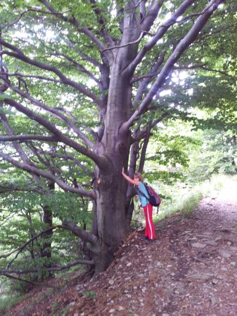 K640_20120619_111945.JPG