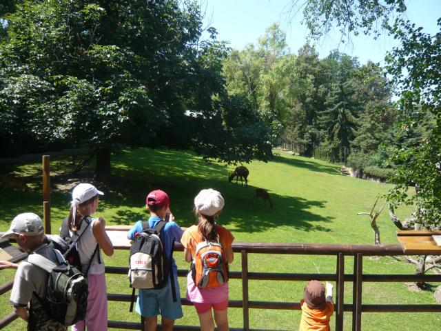 K640_P1050379.JPG