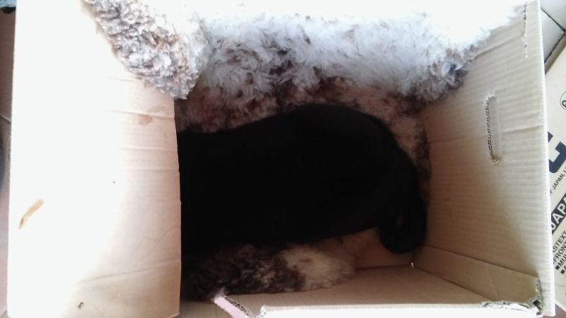 20160323_171813.jpg