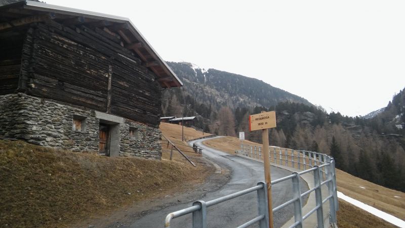 20160401_075811.jpg