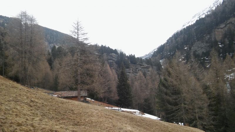 20160401_080024.jpg