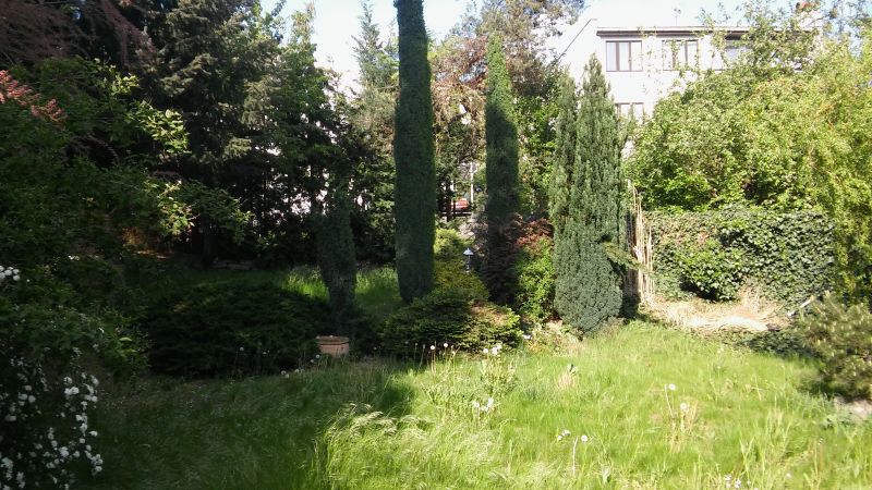 20160509_165912.jpg