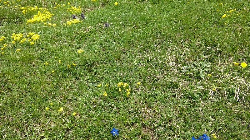 20160618_132338.jpg