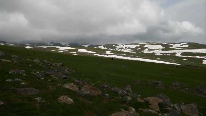 20160618_144515.jpg