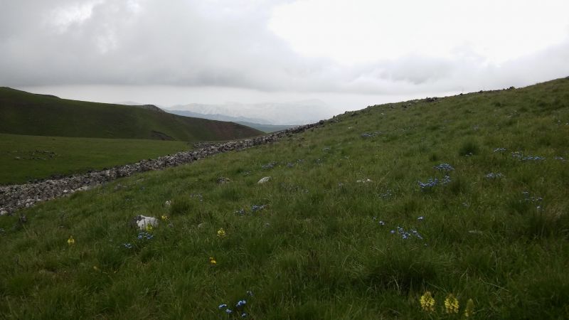 20160619_143950.jpg