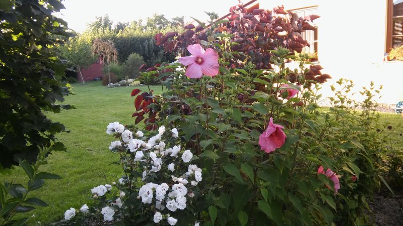 20160818_185920.jpg