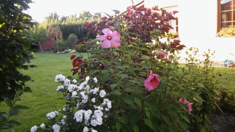 20160818_185923.jpg