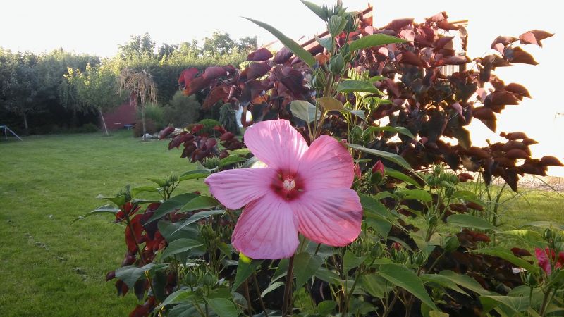 20160818_185929.jpg