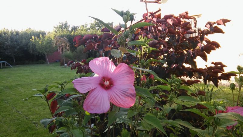 20160818_185933.jpg
