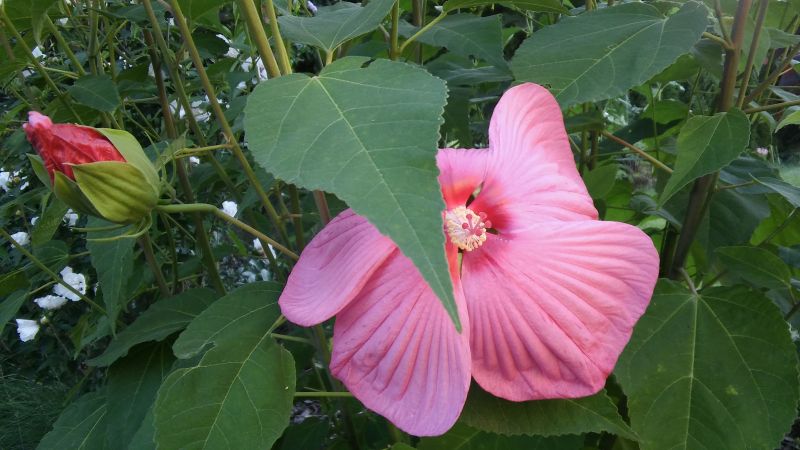 20160818_185956.jpg
