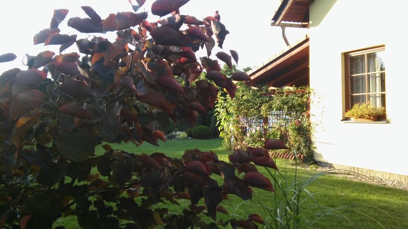 20160818_190005.jpg