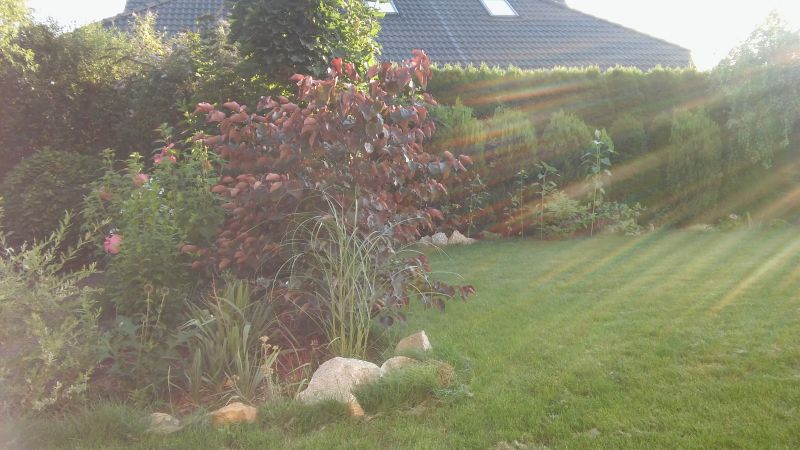 20160818_190028.jpg