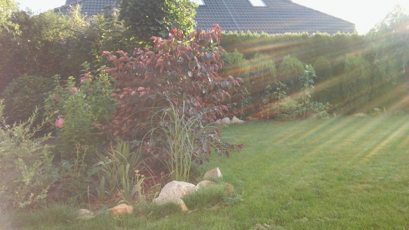 20160818_190030.jpg