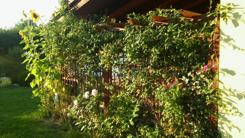 20160818_190050.jpg