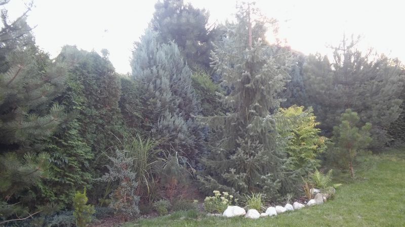 20160818_190107.jpg