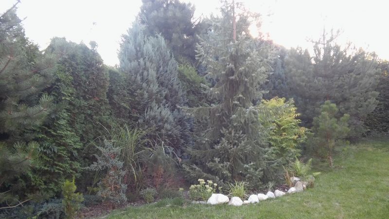20160818_190109.jpg