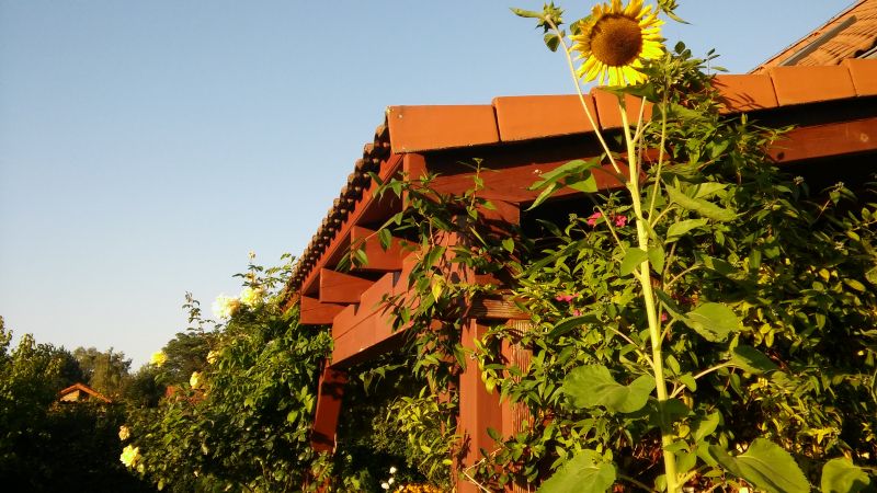 20160818_190121.jpg