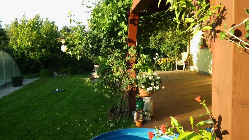 20160818_190141.jpg
