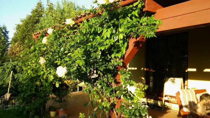 20160818_190150.jpg