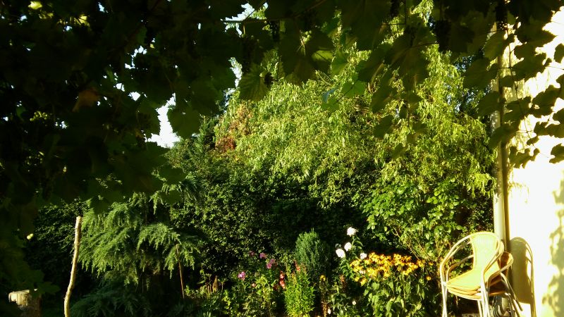 20160818_190206.jpg