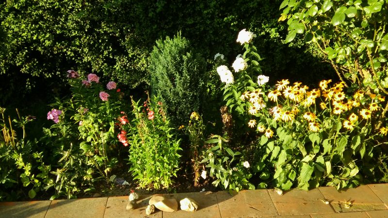 20160818_190230.jpg