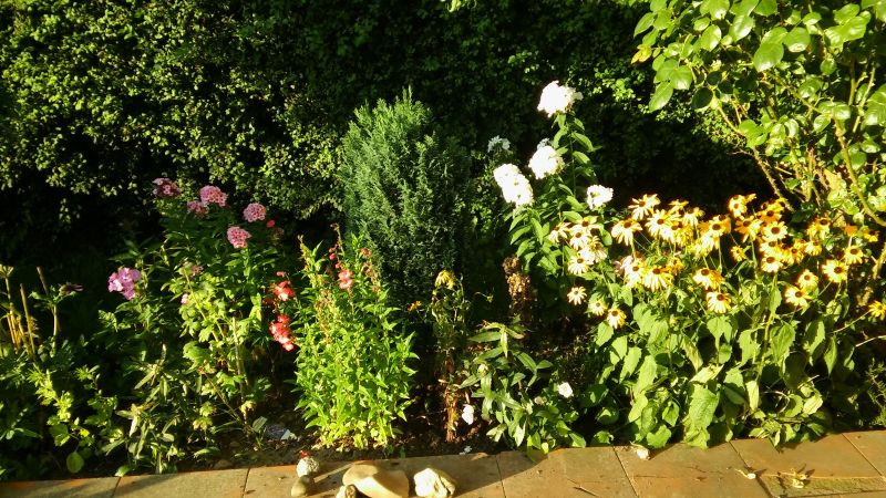 20160818_190233.jpg