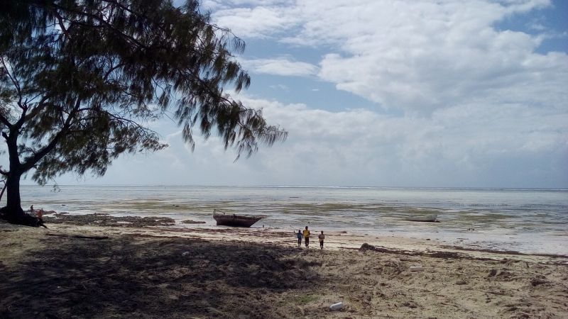 20170524_102917.jpg