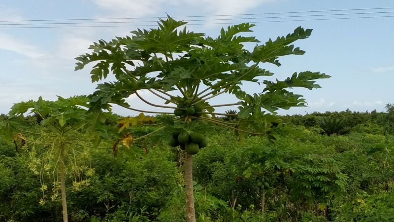 20170524_115332.jpg