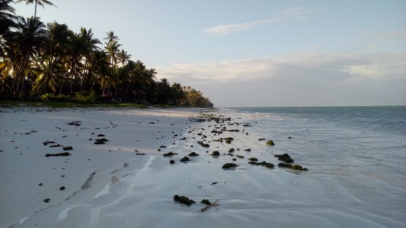 20170524_171825.jpg