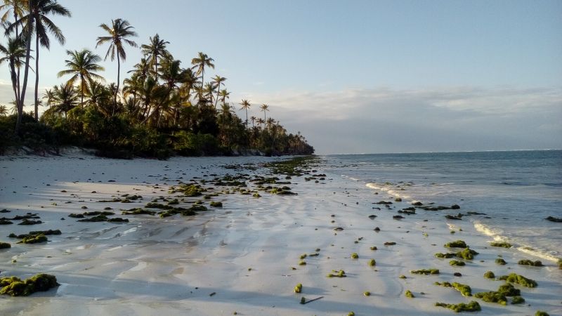 20170524_172604.jpg