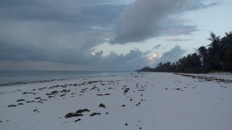 20170525_064740.jpg