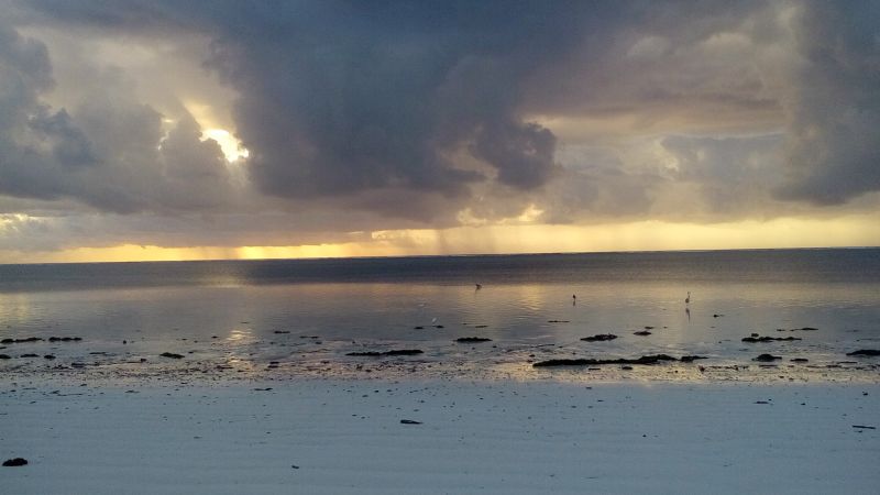 20170525_064756.jpg