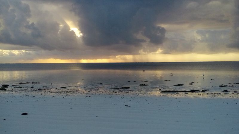 20170525_064801.jpg