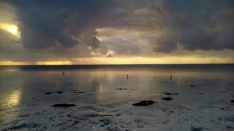 20170525_064957.jpg