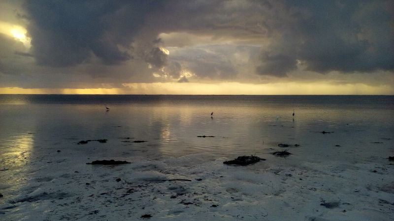 20170525_065007.jpg