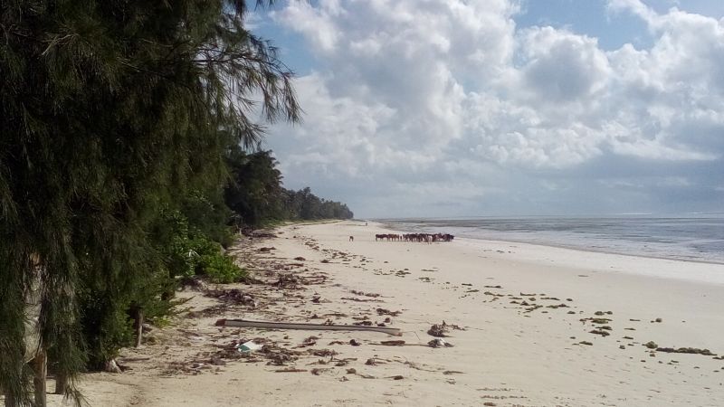 20170525_090823.jpg