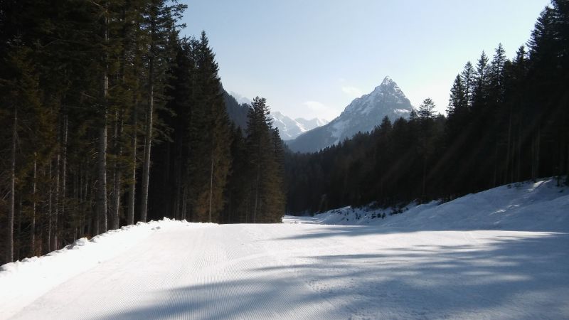 20180326_101200.jpg