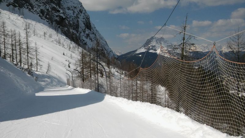 20180326_115203.jpg