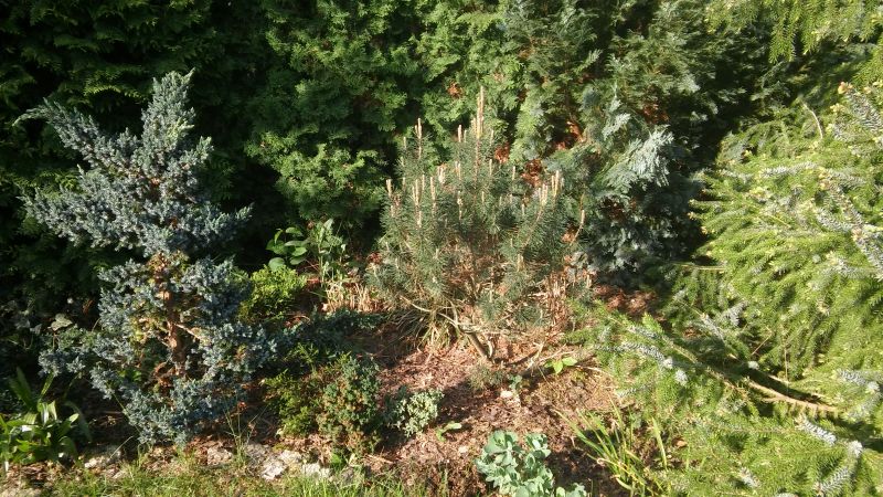 20180505_081250.jpg