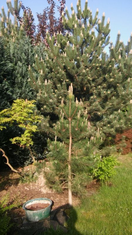 20180505_081300.jpg