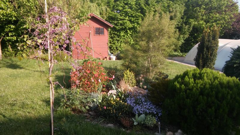 20180505_081310.jpg