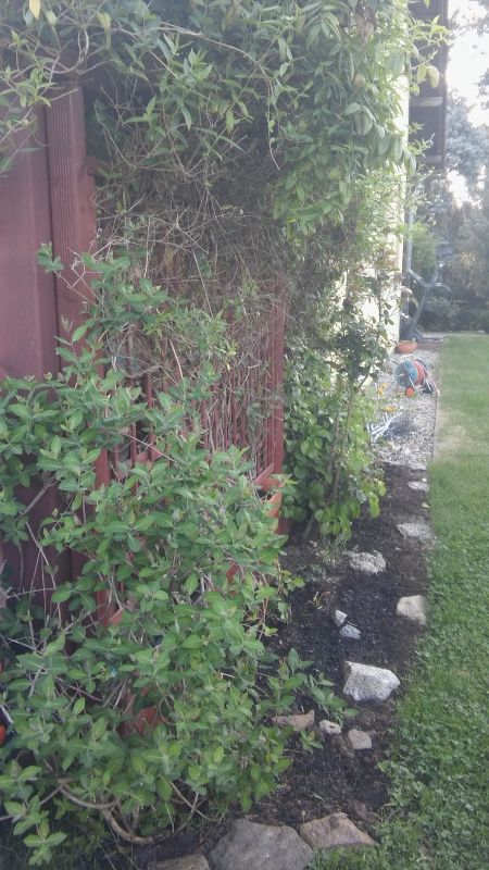 20180505_081323.jpg