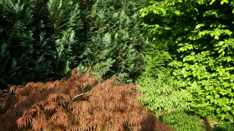 20180505_082123.jpg