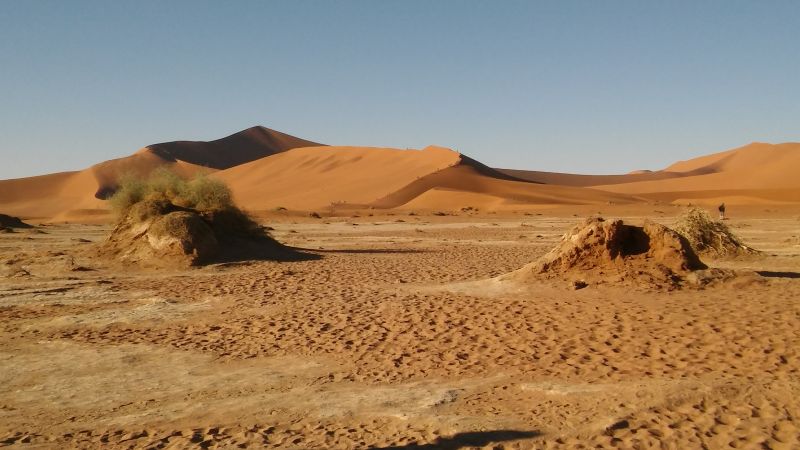 20180509_080136.jpg