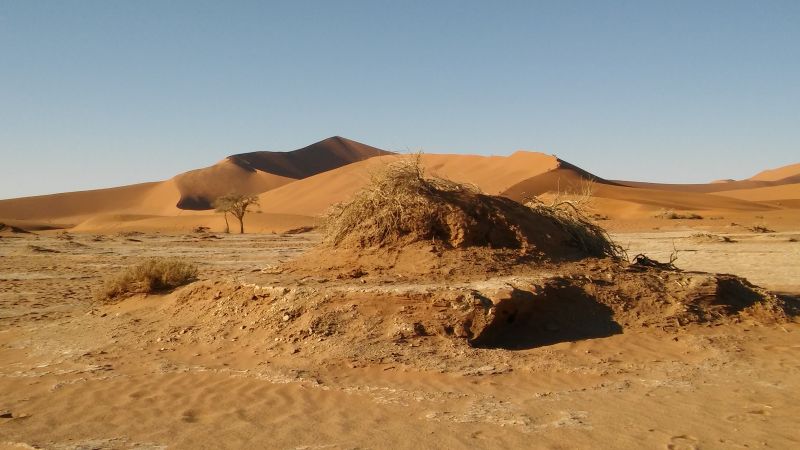 20180509_080321.jpg