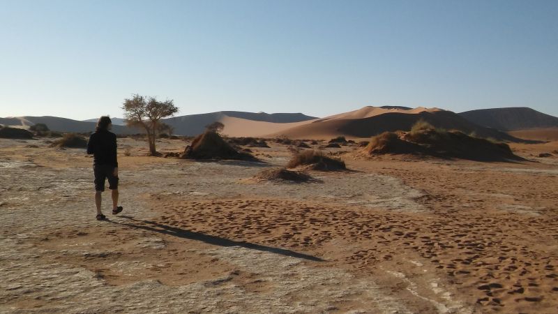 20180509_080326.jpg