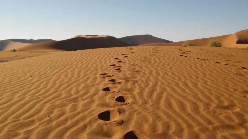 20180509_080737.jpg