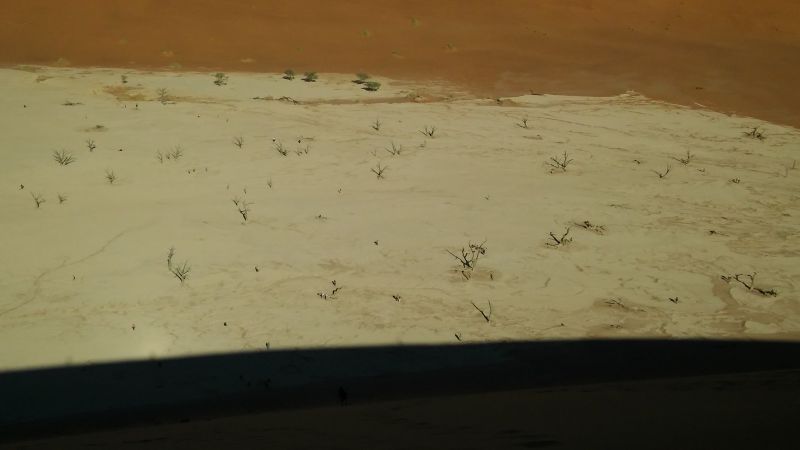20180509_083939.jpg