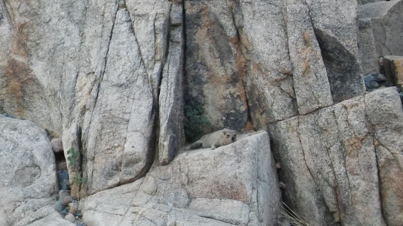 20180510_163245.jpg