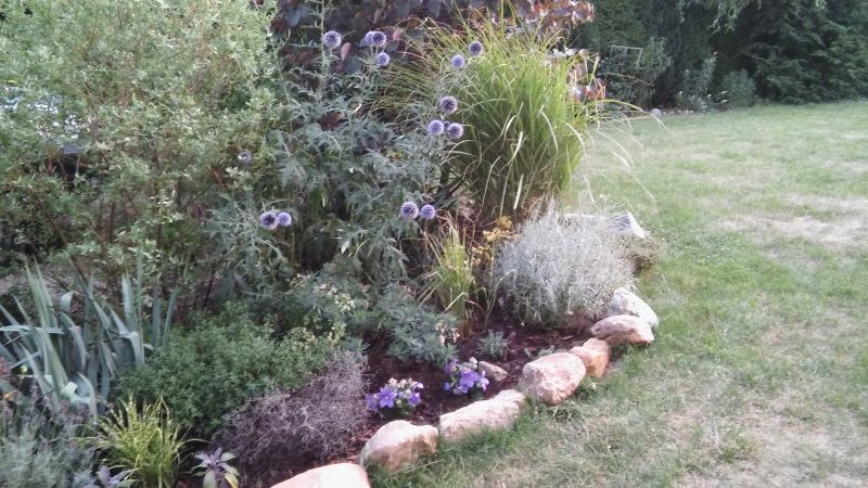 20180718_204317.jpg